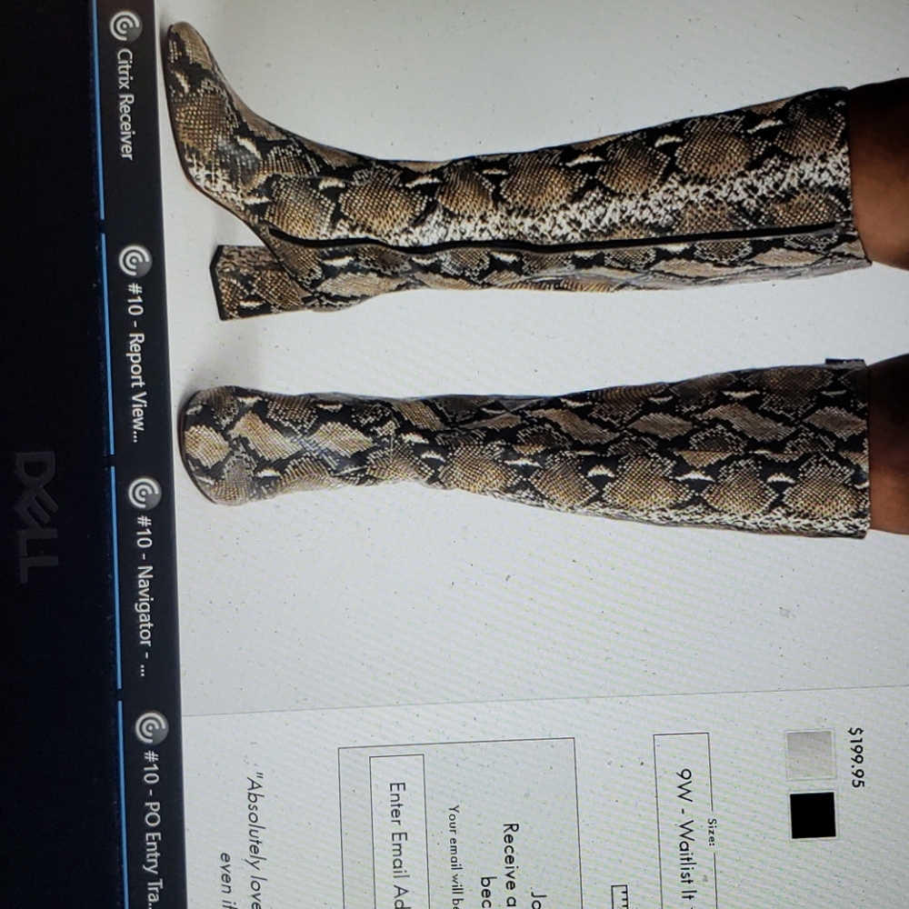 Lane At the Knee Boot- Eloquii